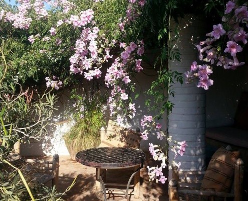Garden of Dar Louisa, Luxury riad in Morocco