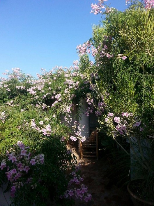 11992516_1152362674780969_1705566528_n