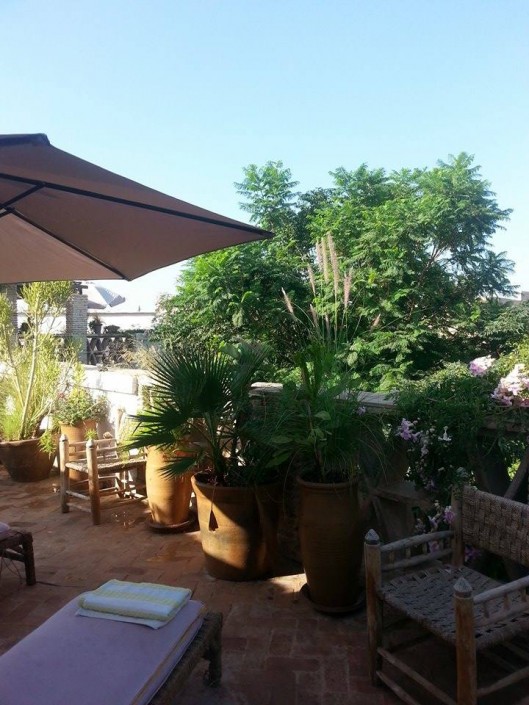 11996953_1152362661447637_1502020512_n Garden of Dar Louisa, Luxury riad in Morocco