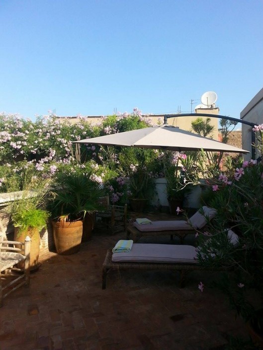 11998674_1152362771447626_935835726_n Garden of Dar Louisa, Luxury riad in Morocco