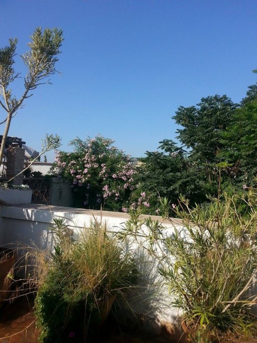 11999946_1152362744780962_1846466126_n Garden of Dar Louisa, Luxury riad in Morocco