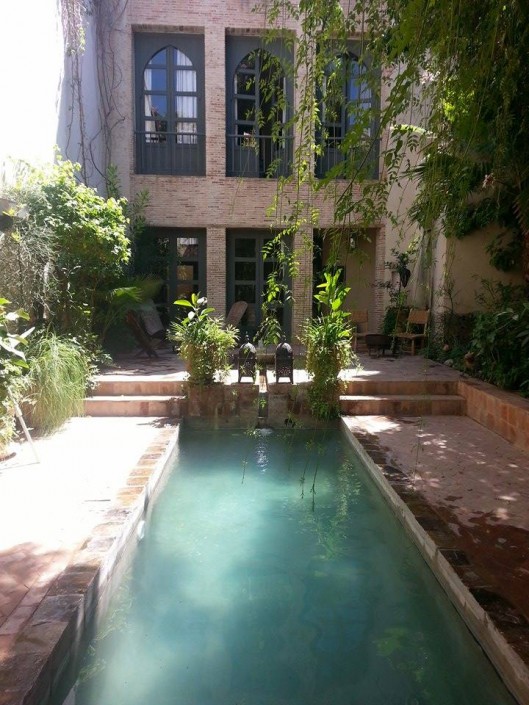 12000151_1152362838114286_1156612716_n Garden of Dar Louisa, Luxury riad in Morocco