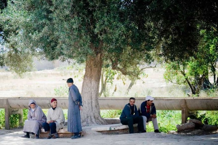 Taroudant, Grandmother of Marrakesh