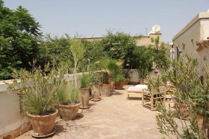 Garden of Dar Louisa, Luxury riad in Morocco