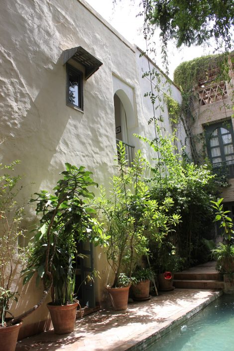 Garden of Dar Louisa, Luxury riad in Morocco