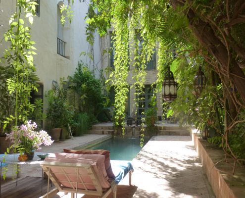 Garden of Dar Louisa, Luxury riad in Morocco