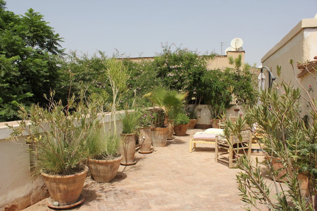 Dar Louisa house and garden archive photograph 40