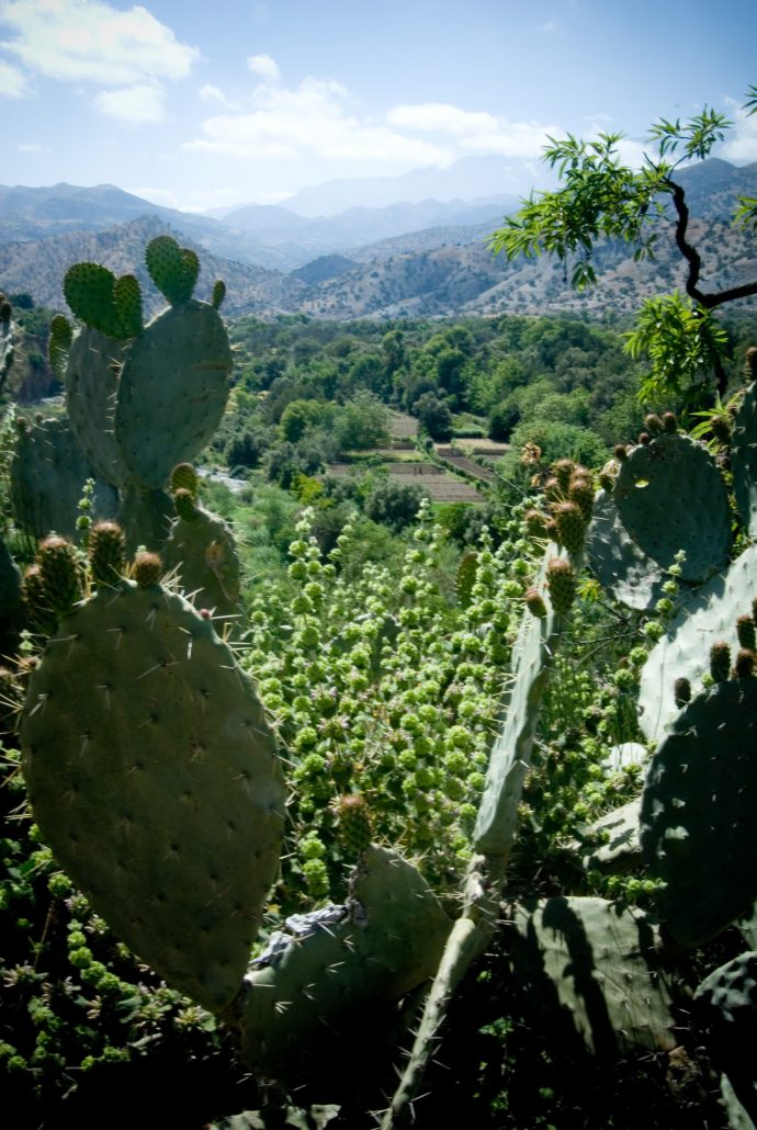 Taroudant and surrounding landscape archive photograph 8