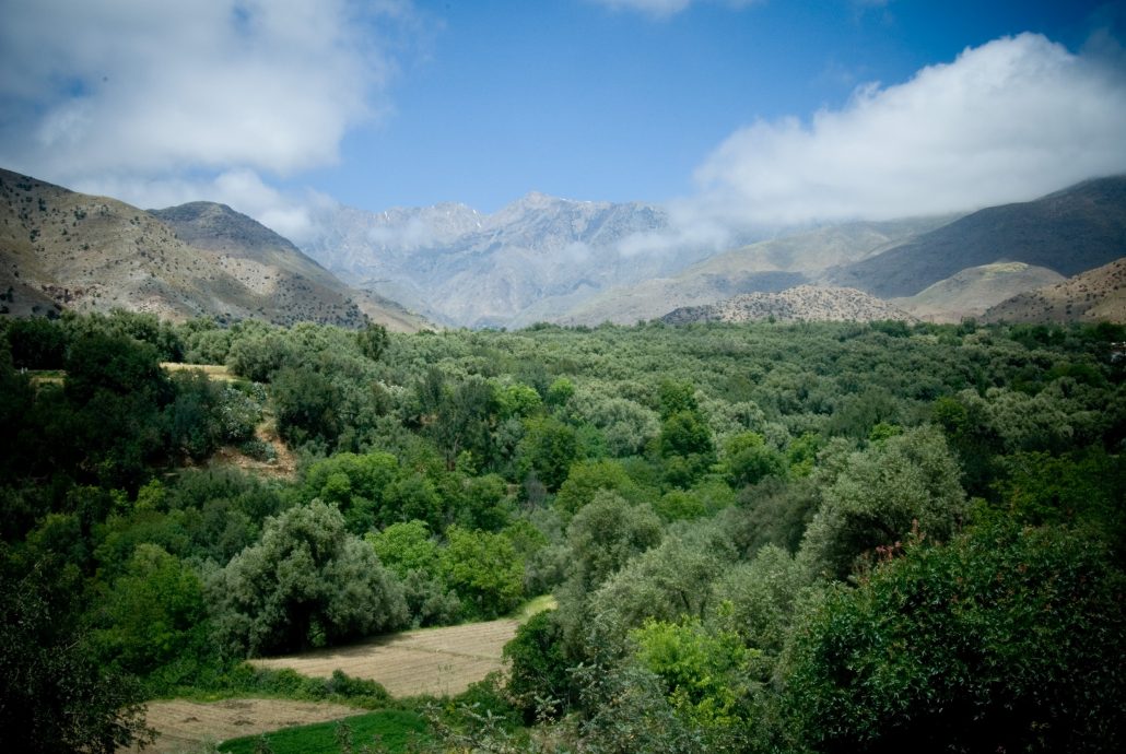 Taroudant and surrounding landscape archive photograph 9
