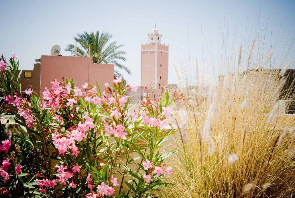 The landscape beyond Taroudant