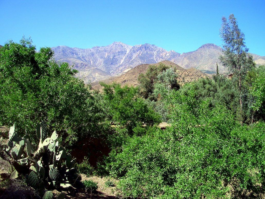 The Atlas Mountains near Taroudant